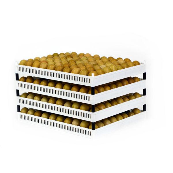 Egg Setter Tray (Flexy80ST)