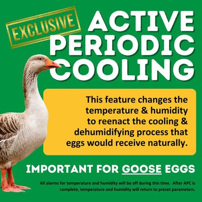HB500 S - Egg Incubator - Setter