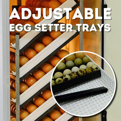HB500 S - Egg Incubator - Setter