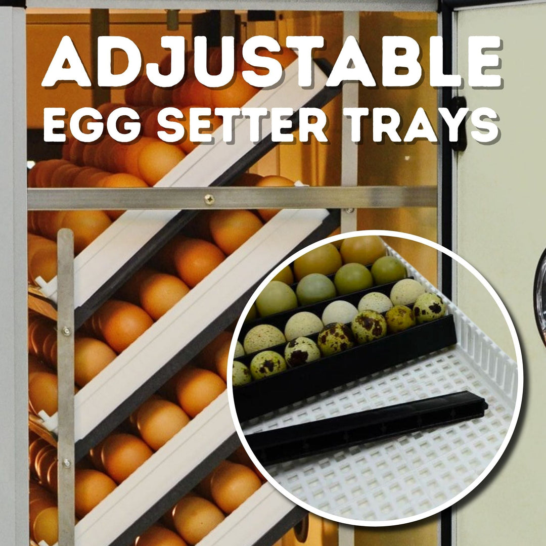 Poultry Supplies – Tagged 