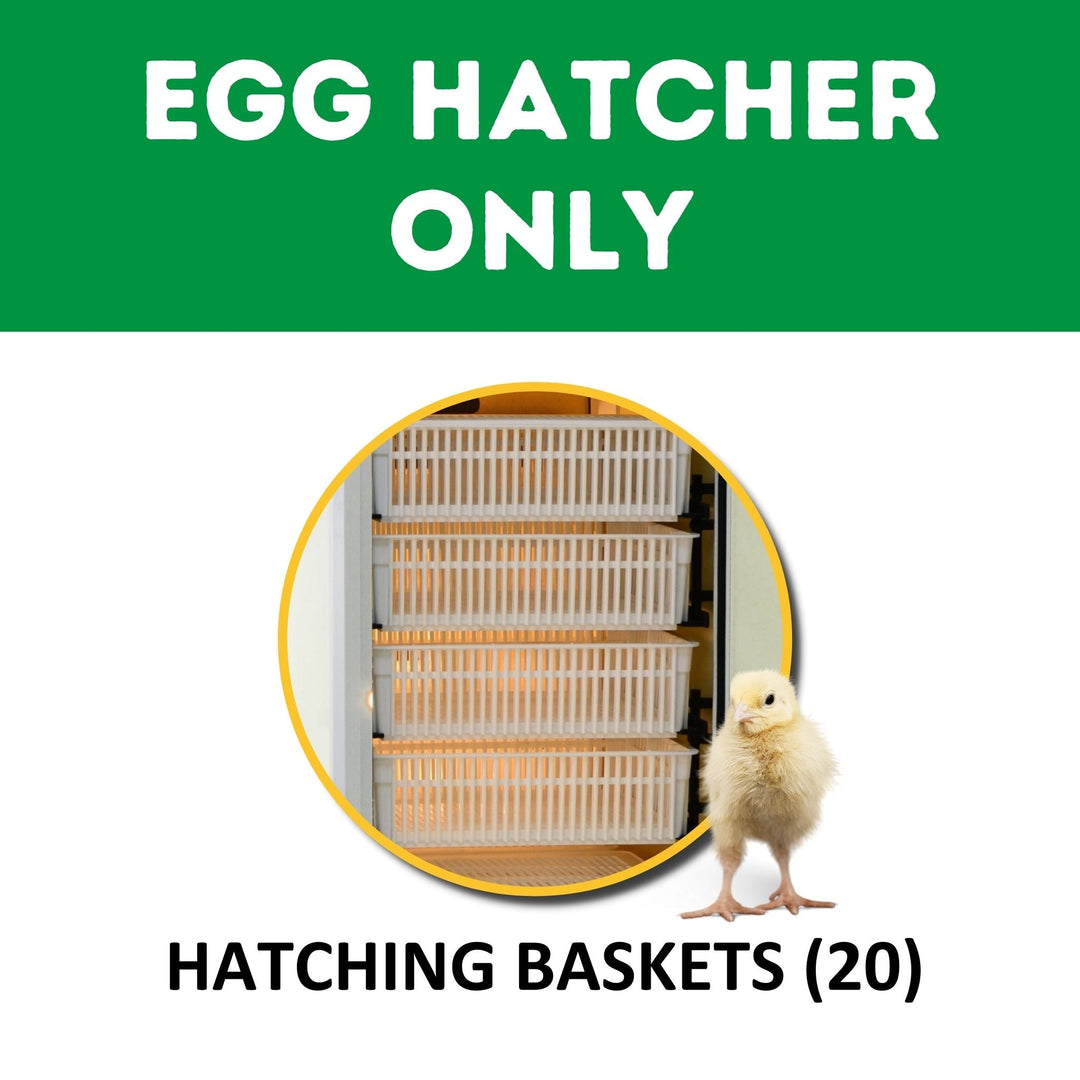 Poultry Supplies – Tagged 